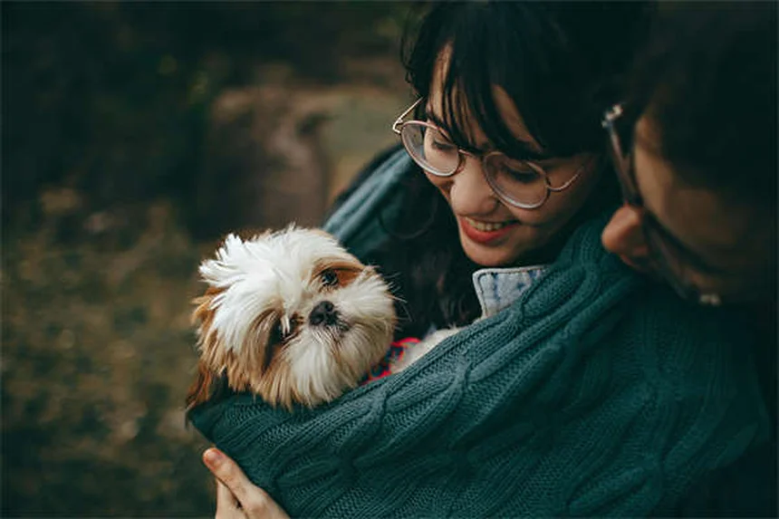 7 Essential Dog Camping Safety Tips Every Pet Owner Must Know